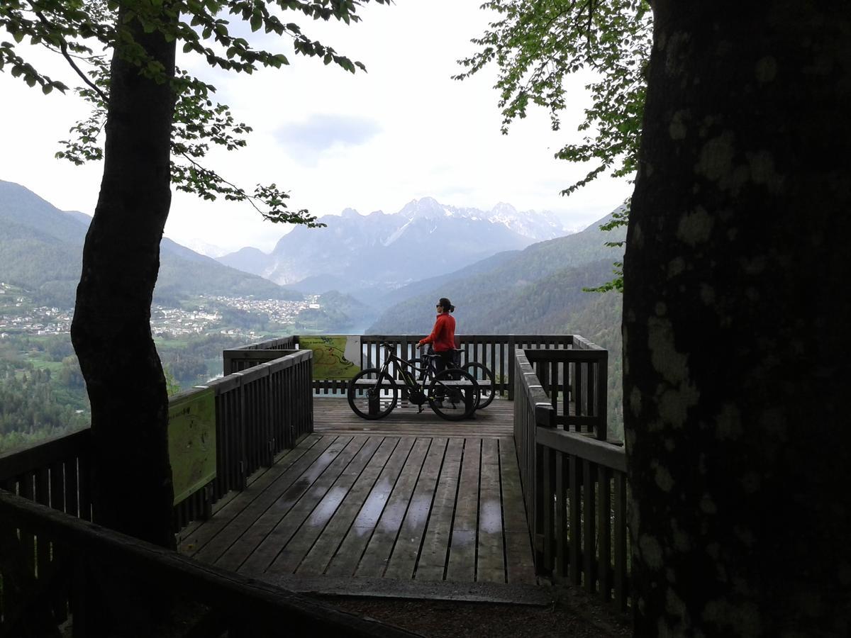 Hotel Albergo Giannina Vigo di Cadore Buitenkant foto