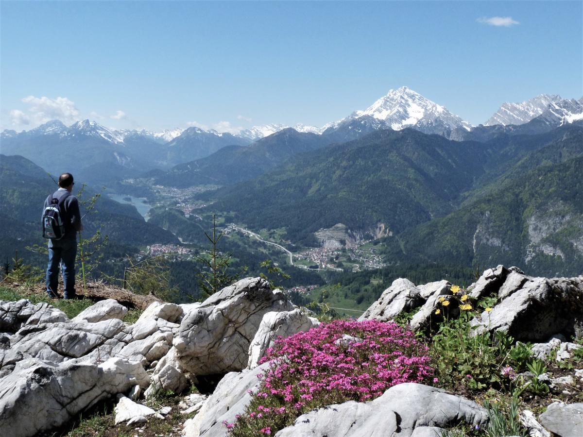 Hotel Albergo Giannina Vigo di Cadore Buitenkant foto