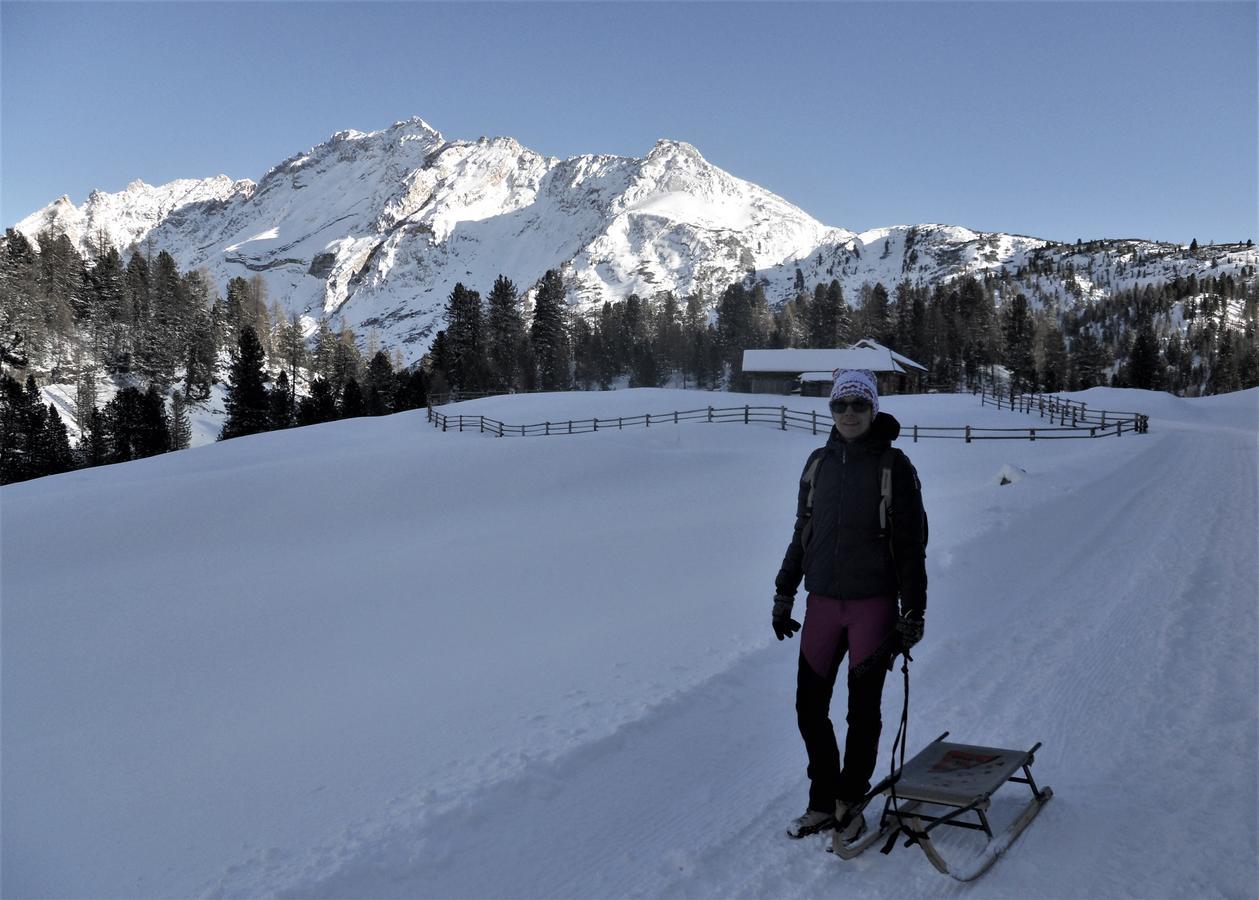 Hotel Albergo Giannina Vigo di Cadore Buitenkant foto