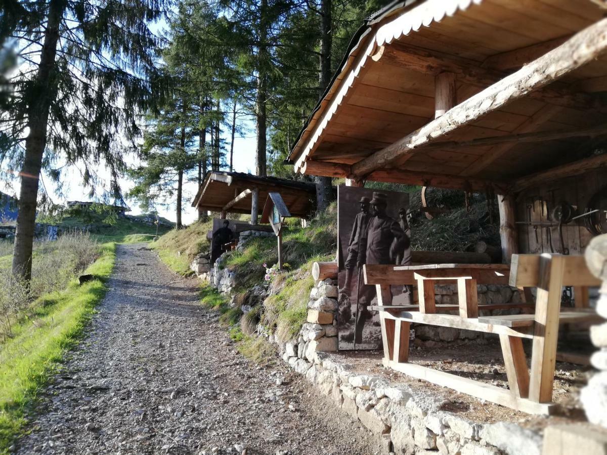 Hotel Albergo Giannina Vigo di Cadore Buitenkant foto